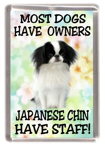 Japanese chin fridge magnet - japanese,