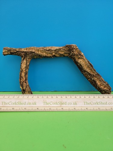 Cork bark branch - bark, snake