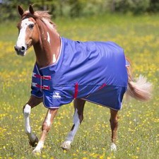 Shires Tempest Original Air