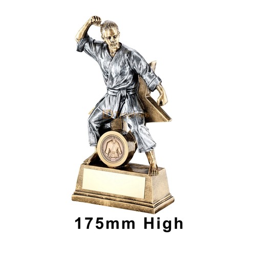 Martial arts trophy - martial, trophy,