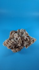 Desert Rose Tunisia North