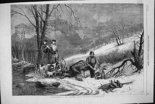 Old antique print 1863 caribou - old,