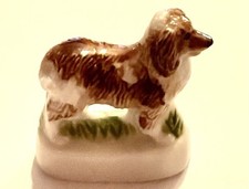 Rare collie dog french - rare,