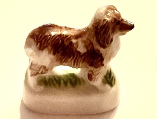Rare collie dog french - collie,