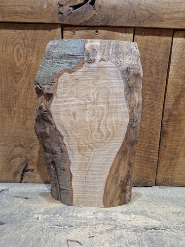 Live edge beech - edge,