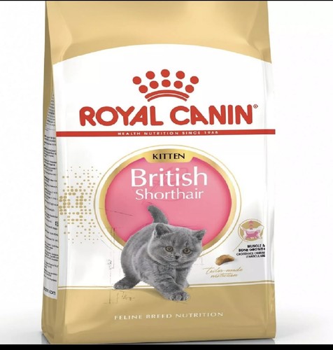 Royal canin british - british, shorthair