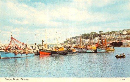 Devon topographical postcard - devon,
