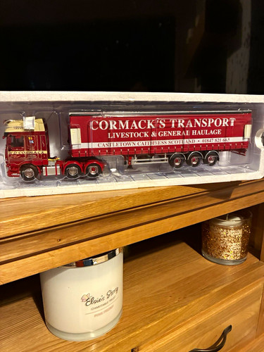 Wsi model daf - 1:50, 6
