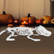 Halloween crocodiles skeleton - halloween,