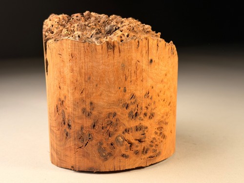 Live edge burr elm resin - live,