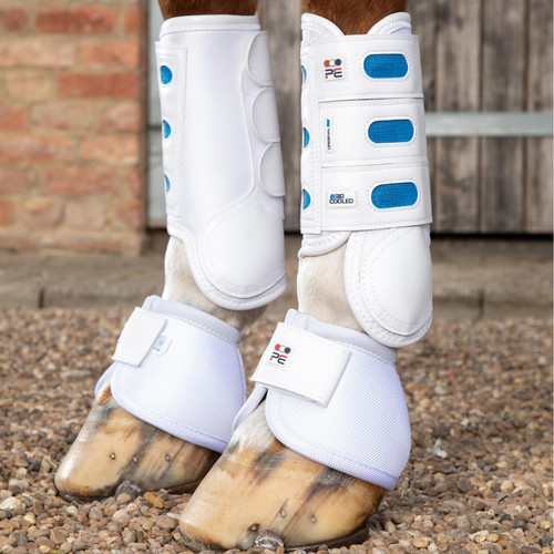 Premier equine air cooled - premier,
