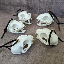 Miniature Replica Cat Skull