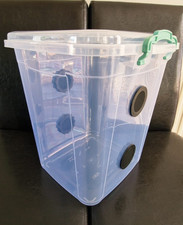 Praying Mantis,Stick