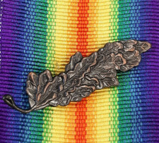 Mention in Despatches WW1 for wear on the  Victory Medal 1914 - 1918