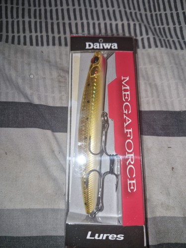 Daiwa megaforce lure shallow - daiwa,
