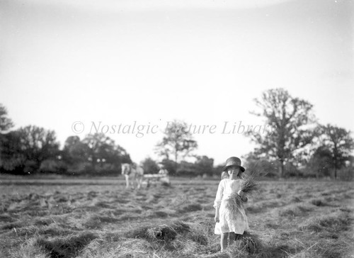 Antique glass negative the - antique,