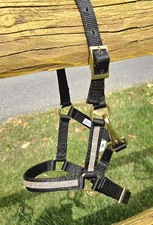 Miniature Horse Nylon Bling