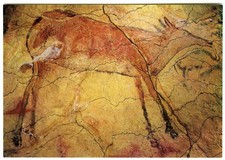 1970 Postcard Prehistoric Art Painting of Deer on Altamira Cave Wall Unposted
