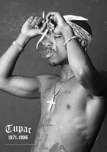 Tupac pac profile fabric - pac,