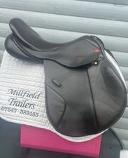 17.5 Inch Brown Legend Albion