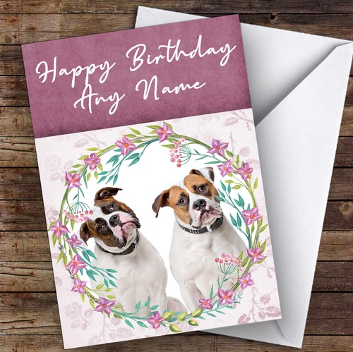 American bulldog dog pink - bulldog,