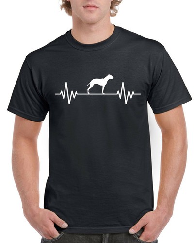 Heart beat rate pulse american - rate,