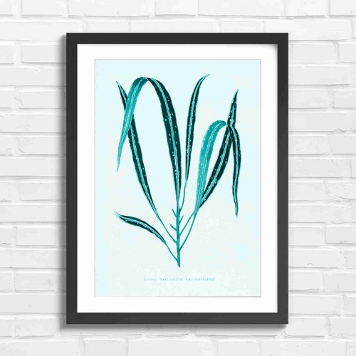 Botanical croton leaves - botanical,