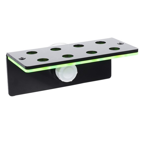 Live coral display - display, stand