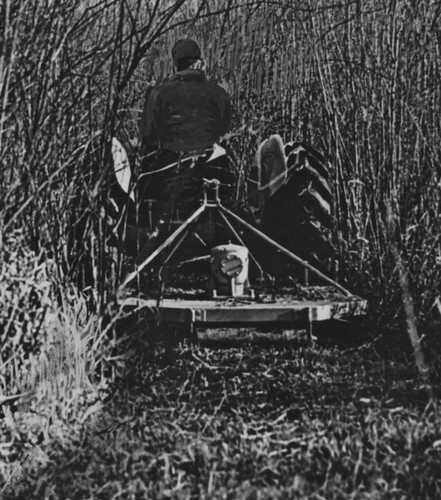 1953 man tractor ausco - man, rotary