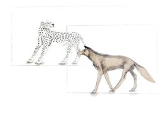 Elisabeth Frink Aesop's Fables