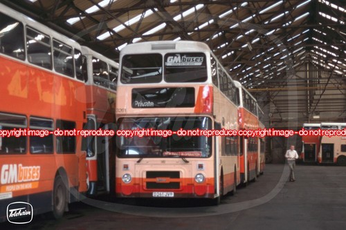 Bus photo buses north - photo,