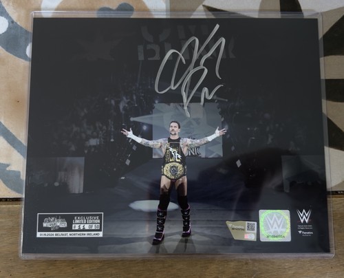 Wwe superstar punk signed - punk,