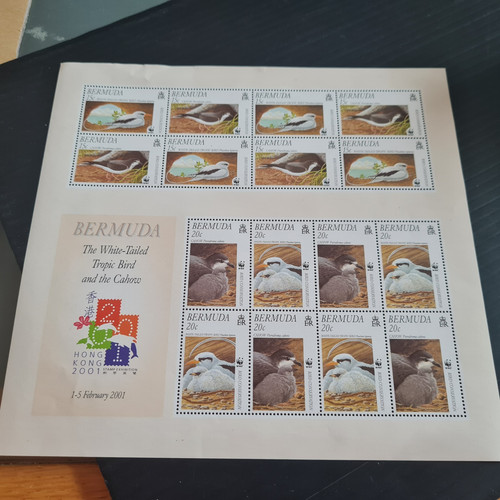 Bermuda 2001 ms856 - sg,