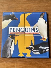 2017 Falkland Islands Penguin