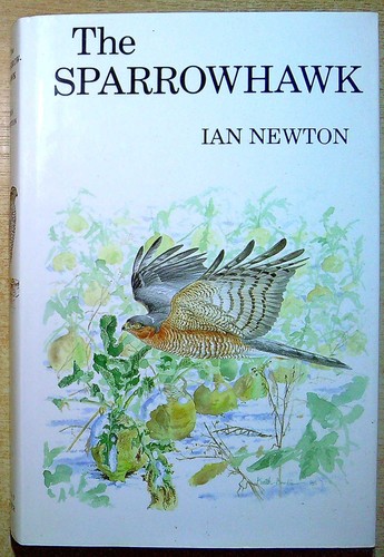 Newton ian the sparrowhawk - newton,,