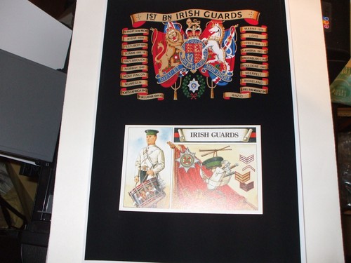 The irish guards battle - guards,