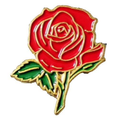 England red rose - rose, quality