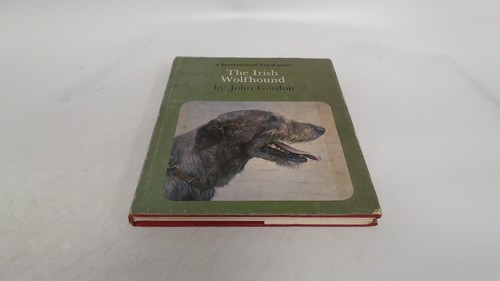The irish wolfhound gordon - irish,