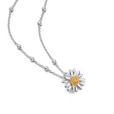 Daisy London English Daisy