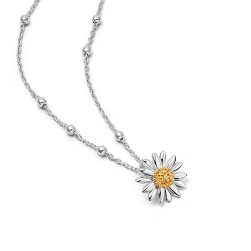Daisy london english - london,