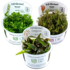 Tropica Background Live Aquarium Plants 1-2-Grow Tall Beautiful Fish Shrimp Safe