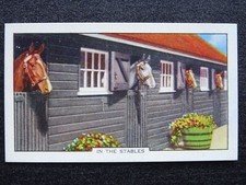 HORSES IN THE STABLES Horse