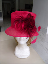 beautiful scarlet feather hat