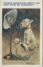 BONZO DOG, LAMP, G E STUDDY - Comic Postcard