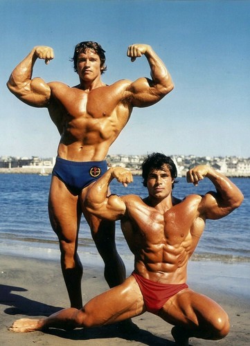 Bodybuilding gym arni poster - bodybuilding,