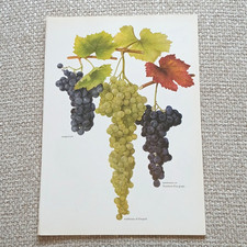 Vintage 1975 Original Empoli