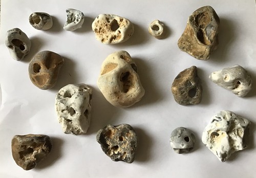 Natural hag stones - natural,