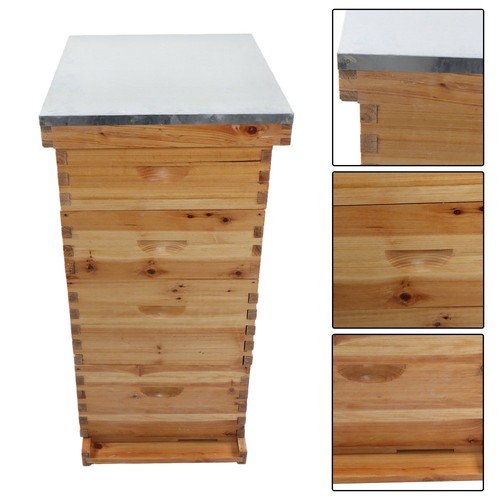 Bee hive beeswax coated - bee,
