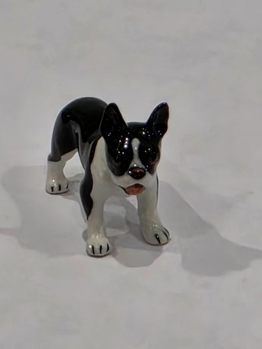 Miniature french bulldog - miniature,