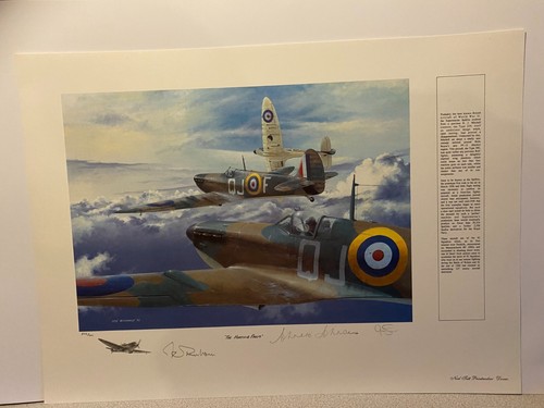 Squadron aviation art print - squadron,
